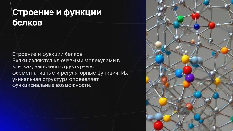Строение и функции белков
