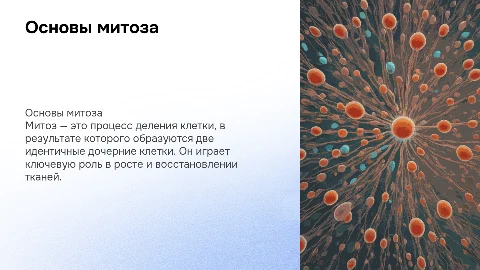 Митоз
