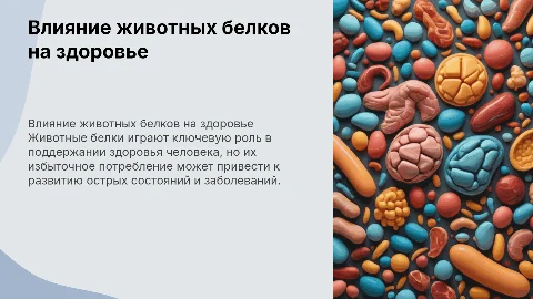 Влияние животных белков на организм человека и острые состояния