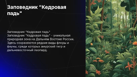 Заповедник "Кедровая падь"