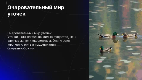 уточки