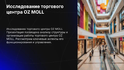 Исследование организации торгового центра OZ MOLL