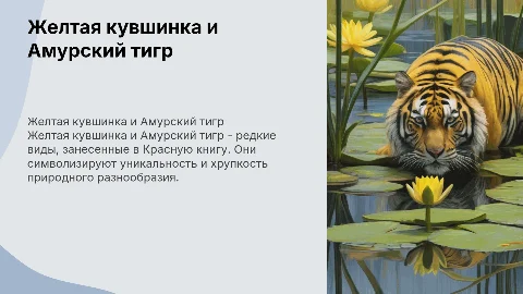 Желтая кувшинка и Амурский тигр: редкие виды Красной книги