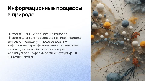 информационные процессы в неживой природе