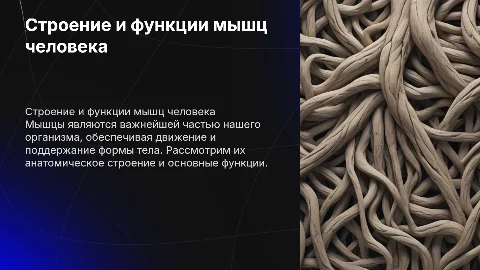 Строение мышц