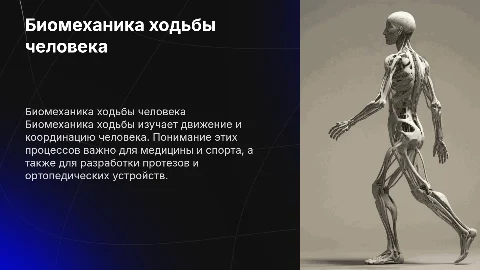 Биомеханика ходьбы