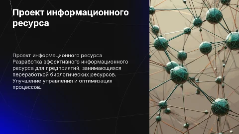 Разработка информационного ресурса для переработки биоресурсов