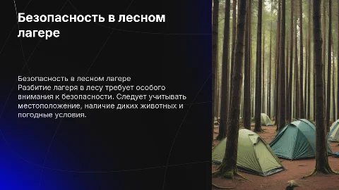 Требования безопасности в лесу при разбитии лагеря
