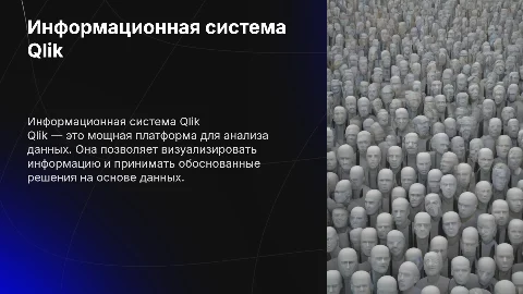 Информационная система Qlik