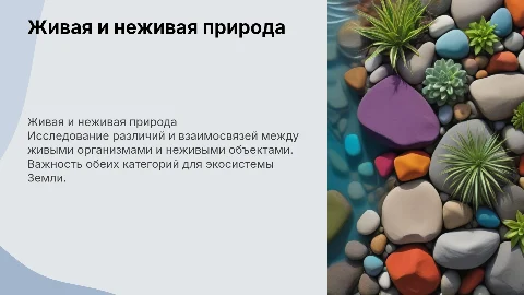Живая и неживая природа