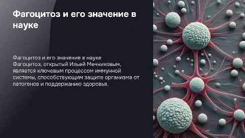 Фагоцитоз,Мечникова,значение
