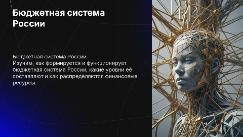 Бюджетная система России, как устроена и как работает