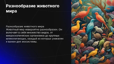 Разнообразие животных