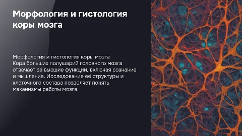 Морфология и гистология коры больших полушарий мозга