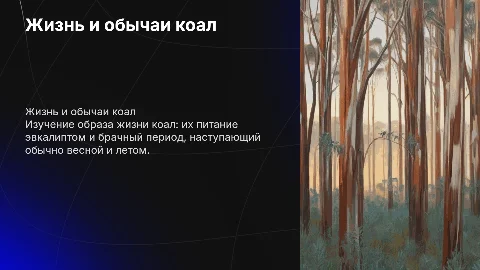 Коалы: как они живут и чем питаются