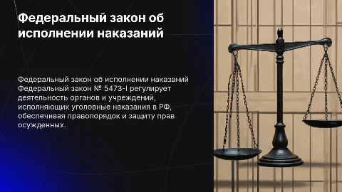 Федеральный закон № 5473-I об органах исполнения наказаний
