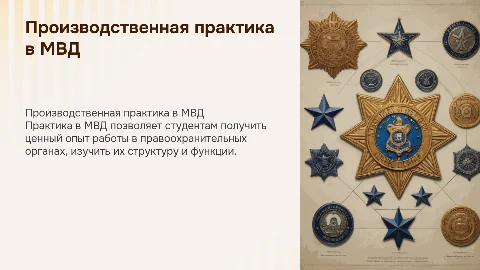 Производственная практика в МВД