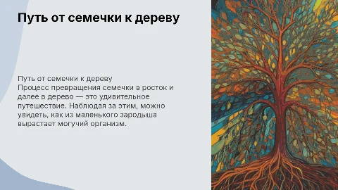 3 минуты видео: от семечки к дереву