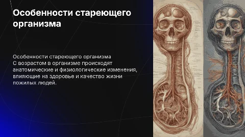 Анатомо-физиологические особенности лиц пожилого возраста