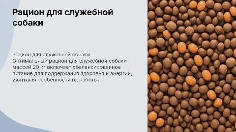 рацион для служебной собаки массой 20 кг