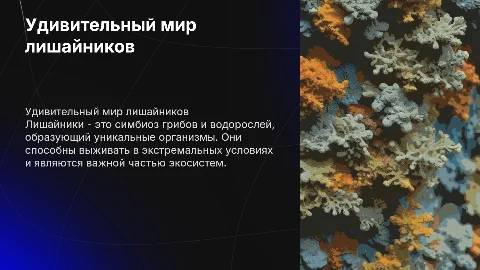 лишайники