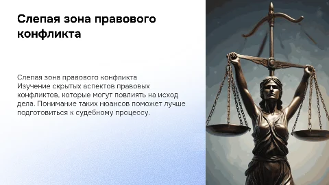 Презентация по книге «Слепая зона» правового конфликта