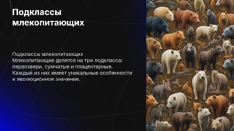 про подклассы млекопитающих с подробным описанием
