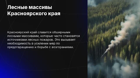 Лесные массивы Красноярского края и проблемы лесных пожаров