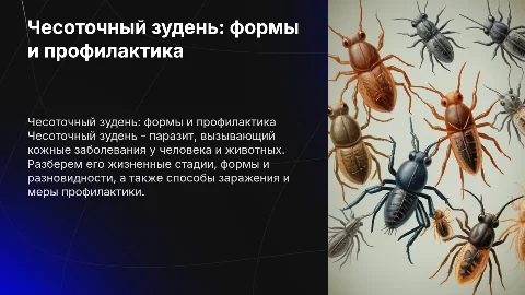 Чесоточный зудень: формы, разновидности и профилактика
