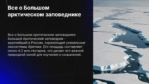 все про большой арктический заповедник с картинками