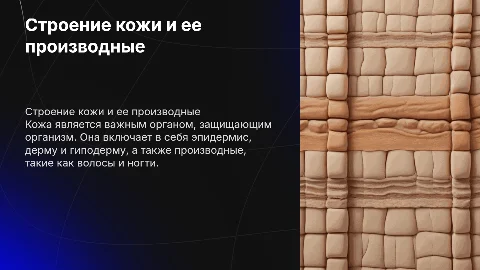 Особенности строение кожи и ее производные