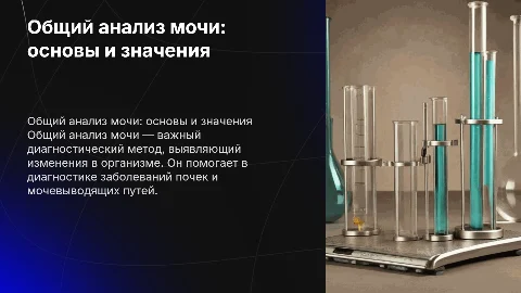 что такое общий анализ мочи