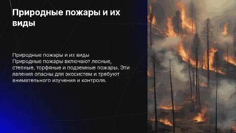 Природные пожары: виды, причины и методы борьбы