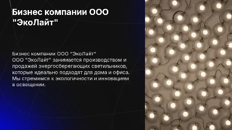 Бизнес компании ООО "ЭкоЛайт": энергосберегающие светильники