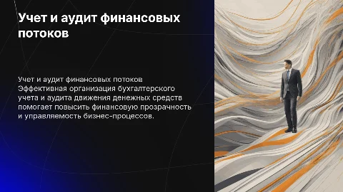 Организация бухгалтерского учета и аудит денежных средств
