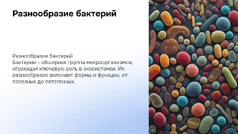 Разнообразие бактерий