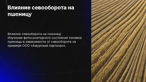 Влияние севооборота на фитосанитарное состояние пшеницы