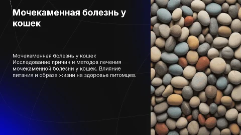 Дипломная работа Мочекаменная болезнь у кошек