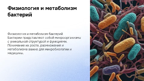 Физиология бактерий: рост, размножение и метаболизм