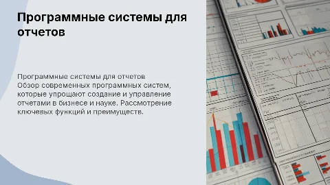 Программные системы для отчетов