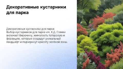 Подбор декоративных кустарников для парка им. К.Д. Глинки