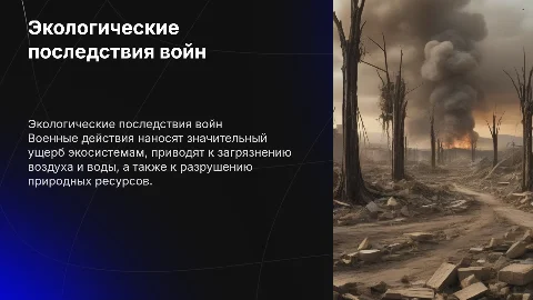 Экологические последсвия военных действий