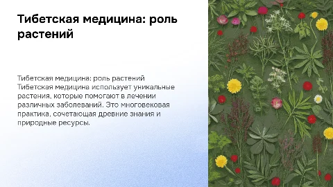Особенности тибетской медицины: Растения в практике