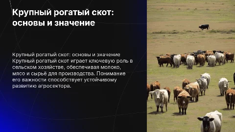 крупно рогатый скот
