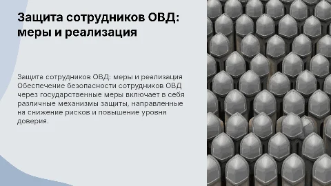 РЕАЛИЗАЦИЯ МЕР ГОСУДАРСТВЕННОЙ ЗАЩИТЫ СОТРУДНИКОВ ОВД