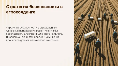 стратегия развития службы безопасности агропромышленного холдинга