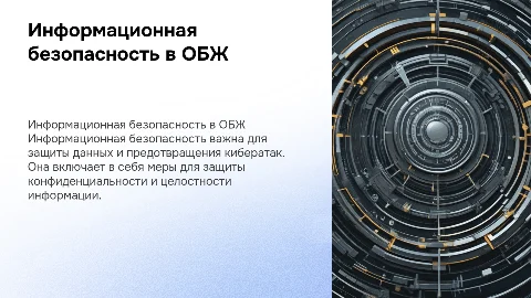 Информационная безопасность (ОБЖ)