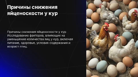 причины снижения яйценоскости у кур