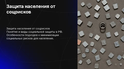 Защита населения РФ от социальных рисков: понятие и виды
