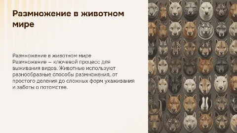 Размножение в животном мире: способы и стратегии